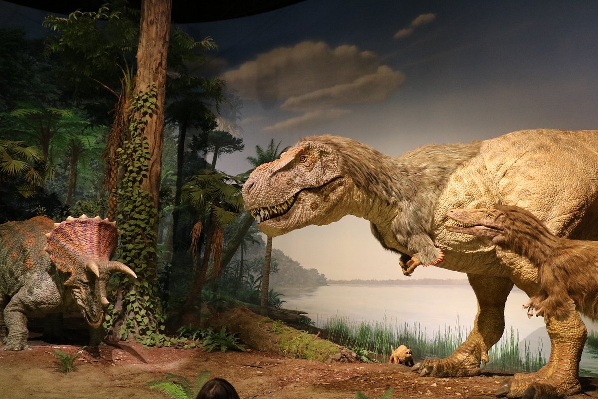 🦖 이바라키 자연사 박물관(뮤지엄파크 이바라키켄 시젠하쿠부츠칸)